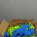 Spring Flower Fort Building Kit for Kids, STEM Construction Toys, Educational Gift for 3 4 5 6 7 8 9 10 11 12 Years Old Boys and Girls, Ultimate Creative Set For Indoor & Outdoors Activity, 140 Pcs, Green