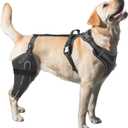 Dog Knee Brace for Torn ACL, Luxating Patella, Arthritis Support, Metal Splint Hinged Leg Brace for CCL Injury, L Size