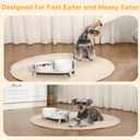 Elevated Slow Feeder Dog Bowls - Ceramic Food and Water Bowl Set with Stand - Raised Pet Dishes for Small and Medium Sized Dogs