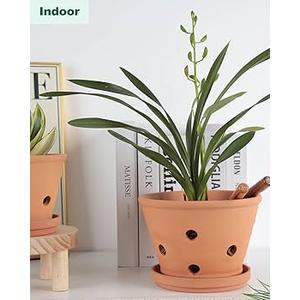 Vensovo 8 Inch Terracotta Orchid Pots with Holes and Saucers, 2 Pack Large Clay Planters for Repotting, Terra Cotta Pots for Indoor & Outdoor Plants, Promotes Air Circulation