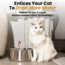 KittySpout Stainless Steel Cat Water Fountain Automatic Drinking Fountain, Quiet Circulating Water Bowl, Dishwasher Safe, Indoor Pet Fountain for Hydrated Healthy Cats (Stainless Steel, 4L Corded)