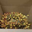 24 Inch Fall Wreaths for Front Door Boho Fall Wreath Rustic Autumn Wreath