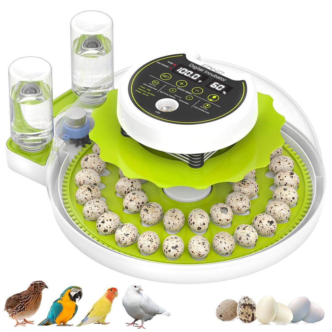 Quail Egg Incubator for Hatching Eggs with Automatic Egg Turning and Humidity Control, 40 Quail Eggs Capacity Brooder Poultry Incubators, Also for Partridge, Parrot, Pigeon, and Other Types of Bird