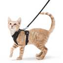 rabbitgoo Cat Harness and Leash Set, Escape Proof Kitten Harness for Safe Outdoor Walks, Soft Breathable Adjustable Vest with Reflective Strips for Kittens and Small Cats, Black, XSmall