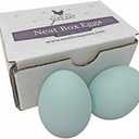 Nest Box Queen Ceramic Chicken Nest Eggs for Nest Box Training - 1 Pack (Blue)
