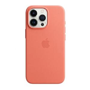 Apple iPhone 16 Pro Silicone Case with MagSafe and Camera Control, Pin