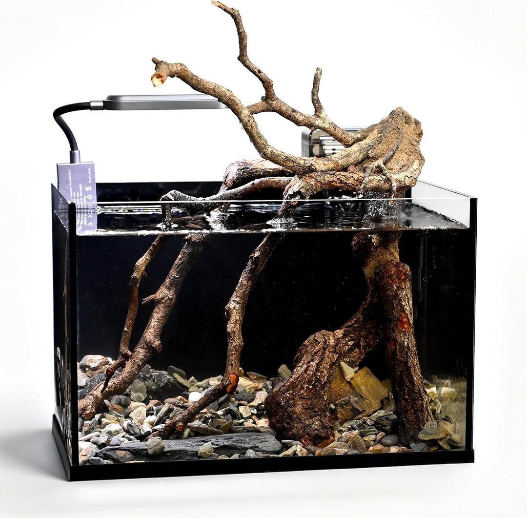 2.8 Gallon Glass Small Fish Tank, Nano Nature Aquarium Starter Kit with Pedestal Base, Light and Filter, Ultra Clear Desktop Fish Tank for Small Fish, Shrimp, Goldfish, or Betta, Black