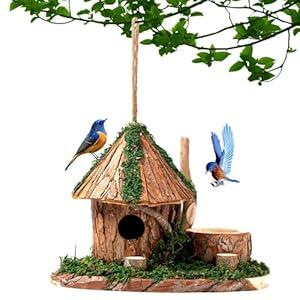 Premium Wooden Bird House, Cedarwood Hanging Birdhouse with Predator Guard, Nesting Box for Wild Bird Viewing, Indoor Decorative or Outdoor Functional Use, Ideal for Birdwatchers, Large