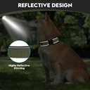 Dog Collar for Small Medium Large Dogs, Reflective, Adjustable Heavy Duty Dog Collar, Soft Neoprene Padded Comfortable for Walking (Ranger Green, L)