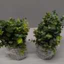 2 Pack Small Fake Plants Eucalyptus Potted Artificial Plants for Shelf Desk Home Bathroom Farmhouse Room Coffee Table Decor (Sage Green)