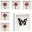 6 Pack Shadow Box Frame - 1.2" Deep Shadow Boxes 3D Picture Frame (6 Pcs/White, 5"x5")