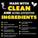 Molly's Suds Liquid Dish Soap | Clean, Simple Ingredients | Extra Scrubbing Power | Citrus Scent, 24 oz - 2 Pack
