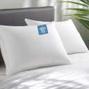Alkyonos Hypoallergenic Bamboo Viscose Shell, Soft Bed Pillows King Size Set of 2 with Down Alternative Filling, Oeko-Tex Certified, Luxury Hotel Quality for Stomach, Back and Side Sleepers