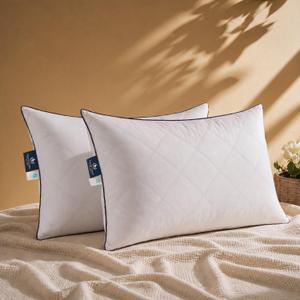 Pacific Coast Premium Goose Feather & Down Bed Pillows Standard Size 2-Pack, Hotel Quality Collection, Medium-Firm Pillow for Side & Back Sleepers