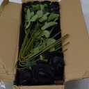 Hananona 50 Pcs Artificial Roses in Bulk, Fake Velvet Silk Roses Realistic Black Roses for Wedding Centerpieces Flower Arrangement Home Decor (50, Black)