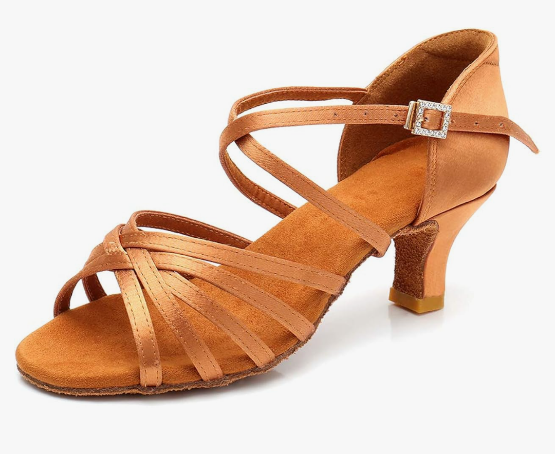 RoseMoli Women's Latin Dance Shoes Satin Professional Ballroom Salsa Practice Performance Dance Shoes.2.5