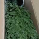 4ft 2Pack Artificial Cedar Topiary Trees 2 Pack,Real Touch Cedar Tree Faux Plants Potted UV Resistant Evergreen Tree for Outdoor Indoor Door Garden Farmhouse Home Decoration