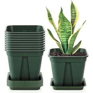 Fasmov 10 Pcs Square Nursery Pot 7 Inch Plastic Plant Pots with Drainage Hole Garden Flower Pots Nursery Plant Container, Flower Planters with Trays for Succulents Herbs Cactus, Green