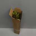 Artificial Greenery Stems, 43.3" Nandina Branches Tall Faux Plant Stems for Vase, Greenery Decor Stems Leaves Bunches for Shop Garden Office Home Dcor,2Pcs,Orange