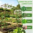 2 Pack Cucumber Trellis, Trellis for Climbing Plants Outdoor, 58" L x 14" W x 47" H Heavy Duty Metal Garden Plant Support for Raised Beds, Peas, Okra, Vines & Flowers