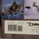 2026 Lovable Cats Wall Calendar