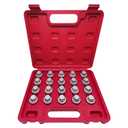 20PCS Wheel Locking Nut Key Kit Compatible with BMW Series, Wheel Lock Nut Socket Bolt Set, Wheel Anti-Theft Lug Nut Removal Tool, Anti-Theft Screw Remover