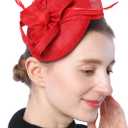 Fascinators Hat for Women Girls Sinamay Flower Feathers Tea Party Cocktail Headband Hair Clip