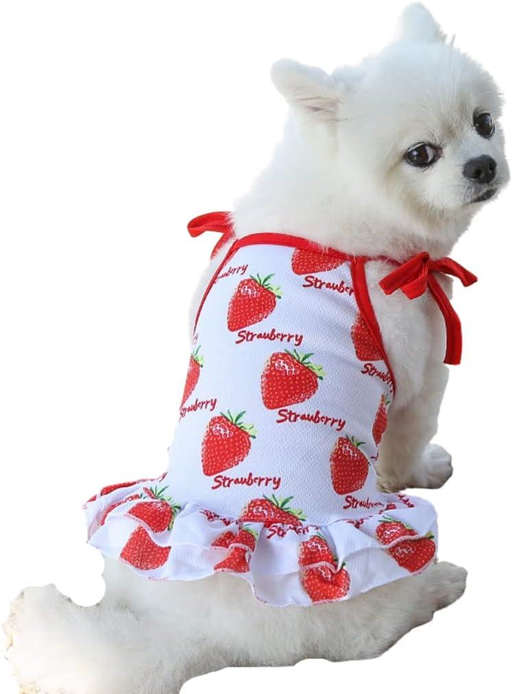 Harkaji Pet Clothes,Lovely Summer Fruit Dog T-Shirt Puppy Clothes Dog Skirt Dress Cats Clothes for Small Dogs Cats Puppy (S, Strawberry Skirt)