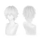Cool Halloween White Short Anime Cosplay Wig, 2 Hair Caps+ Wig, Cosplay Anime Mens Hair Extensions, Silver Costume Christmas Event Party Wigs for Both Men and Teen Boys (JIN)