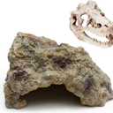 Anxingo Reptile Rock Reptile Cave Hideout for Snakes/Geckos/Lizards/Turtles and Other Amphibians, with Dinosaur Skull (Small)
