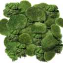 Chuangdi Artificial Moss Rock Assorted Sized Decorative Faux Green Stones Green Moss Balls Decor for Floral Arrangements and Crafting Gardens(20 Pieces)