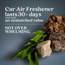 Enviroscent Non-Toxic* Car Vent Clip Air Fresheners - Single Use Auto Vent Clips - Good for All Vehicle Types -Fragrance Lasts Up to 30 Days - Coastal Storm & Teakwood Scent (8 Count)