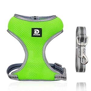 Puppy Harness and Leash Set - Dog Vest Harness for Small Dogs Medium Dogs- Adjustable Reflective Step in Harness for Dogs - Soft Mesh Comfort Fit No Pull No Choke (S, Light Green)