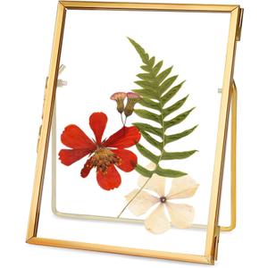 REDHUGO Glass Pressed Flower Frame Handmade, Floating Picture Frames for Pressed Flowers, Tabletop Artwork Photo Frames, Brass Desk Picture Frame for Home Office Plant Specimen, Gold, 4x6 Inches