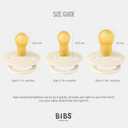 BIBS Color Pacifiers 4-Pack | BPA Free Soother Pacifier | Round Nipple | Natural Rubber Latex | Made in Europe | Size 6-18 Months | Sage Glow Mix