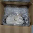 BellEst 2 Pack 101 oz Plastic Detergent Dispenser , Laundry Detergent Dispenser with Handle for Better Grip , Laundry Soap Dispenser with 6 Pieces of Dryer Wool Balls Included.