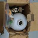 Tool Daily Foam Cannon with 1/4 Inch Quick Connector, 1 Liter, 5 Pressure Washer Nozzle Tips