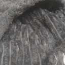 Heated Blanket Electric Throw, Soft Flannel Heating Blanket with 8 Hours Auto Off 10 Fast Heating Levels Machine Washable Sherpa Heated Blanket with Overheating Protection