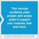 Life Extension Wellness Code Plant Protein Complete & Amino Acid Complex (Vanilla), Plant-Based Protein Powder Plus branched-Chain Amino acids, Gluten-Free, Non-GMO, Vegetarian, 450 Grams