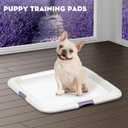 CROCI 22x22in Puppy Pads with Adhesive Tabs, Dog Pee Pads Absorbs Up to 3 Cups Potty Training, Disposable (50 Counts)