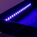 FanRoll Black Light Tray
