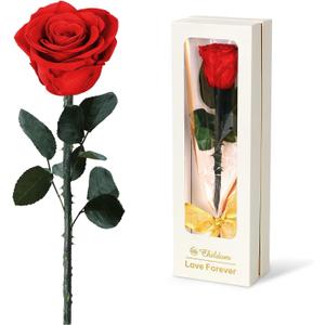 Mothers Day Rose Gifts for Mom,Birthday Gifts for Women,Preserved Red Rose Flower Gifts for Her,Fresh Flower Rose Mom Gifts for Wife,Grandma,Women from Daughter Son,Birthday,Anniversary,Valentines