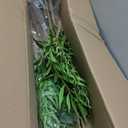 6ft Tall Artificial Tree, Real Touch Faux Plant for Home Decor