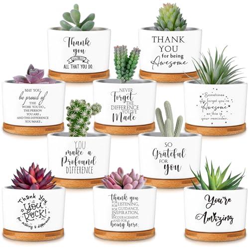 30 Pcs Succulent Plants Pots, Customer Service Week Appreciation Gift