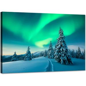 SKASNFAI Aurora Landscape Canvas Wall Art Natural Framed for Office, 16"L x 24"W