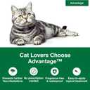 Advantage Topical Cat Flea Treatment and Prevention for Large Cats Over 9 lbs. | Apply Flea Drops Monthly | 2 Treatments