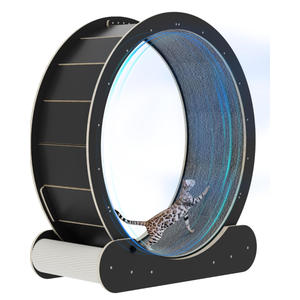 Cat Wheel with 2 Cat Scratching Posts - Large Silent Cat Wheels for Indoor Cats Eliminate Lack of Exercise in Indoor Cats - Cat Wheel with Locking - Easy to Install (Black, Extra Large)