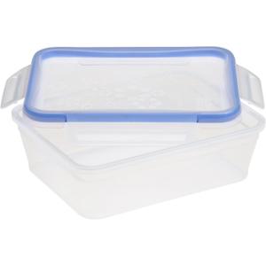 Snapware Total Solution 8.5-Cup Plastic Food Storage Container with Lid, 8.5-Cup Rectangular Meal Prep Container, Non-Toxic, BPA-Free Lid with 4 Locking Tabs, Microwave, Dishwasher, and Freezer Safe (1 Count (Pack of 1))