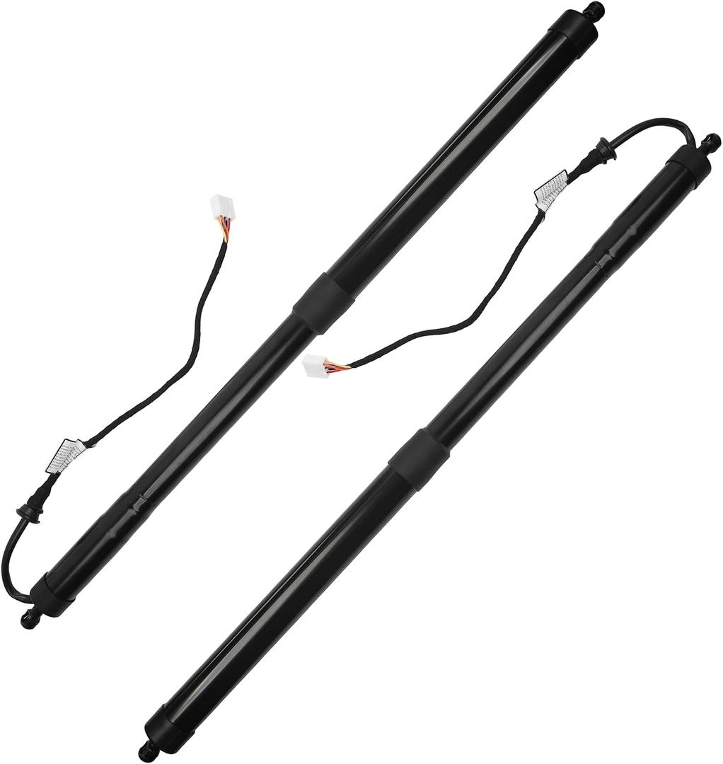 Dasbecan 2 PCS Rear Electric Tailgate Power Lift Support Shock Strut Compatible with Lexus RX350 2016-2019, RX450h 2016-2017, RX450h 2018-2019, Replaces# 6892048031 6891048071