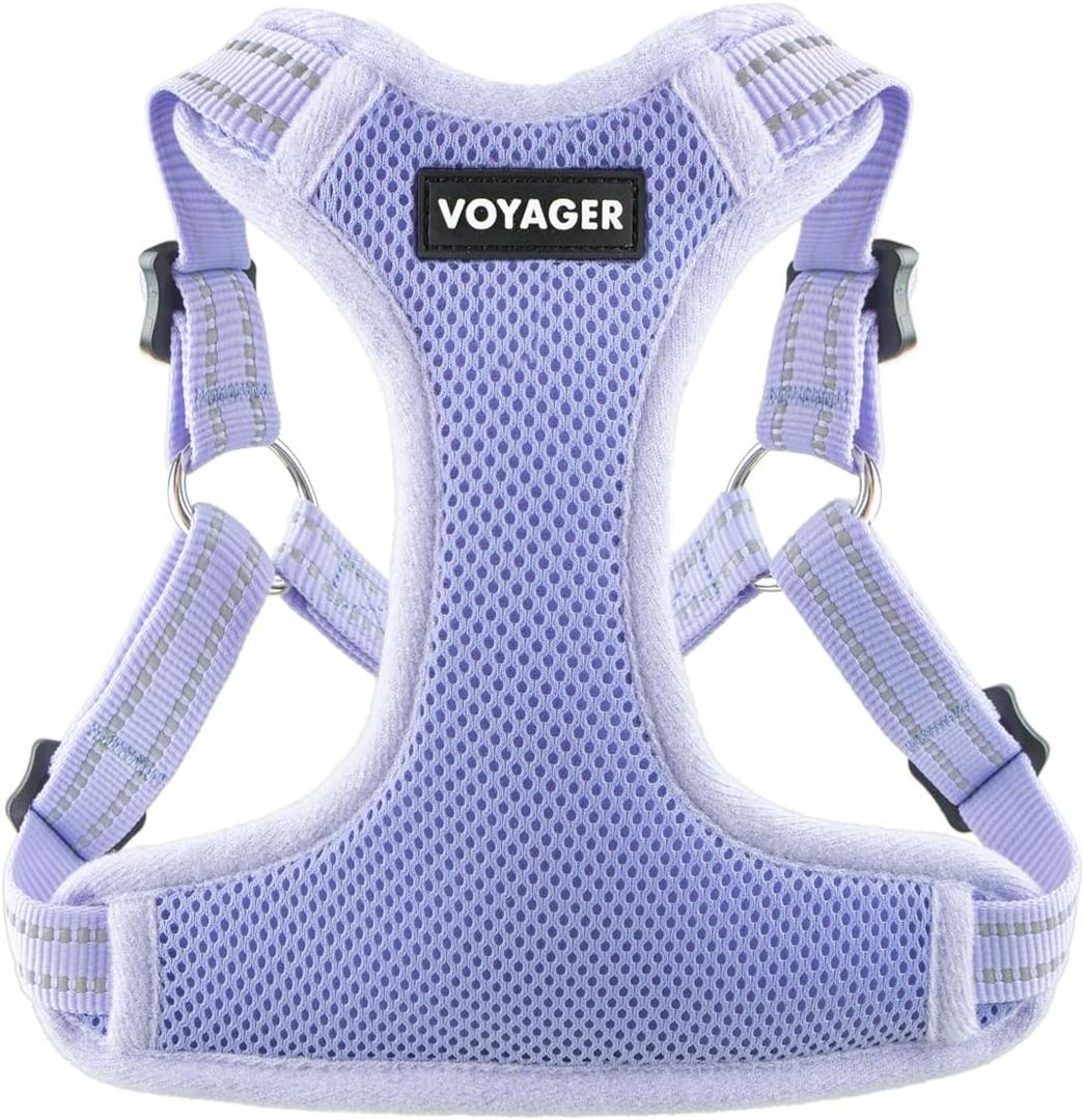 Best Pet Supplies Voyager Adjustable Step-in Flex Breathable Mesh Dog Harness for Small Medium Large Dogs (Lavender), M